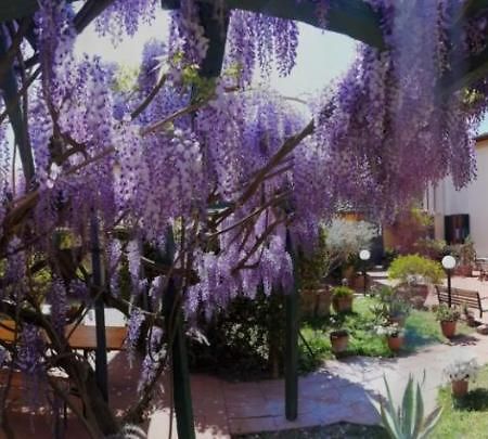 La Tinaia Daire Floransa Dış mekan fotoğraf